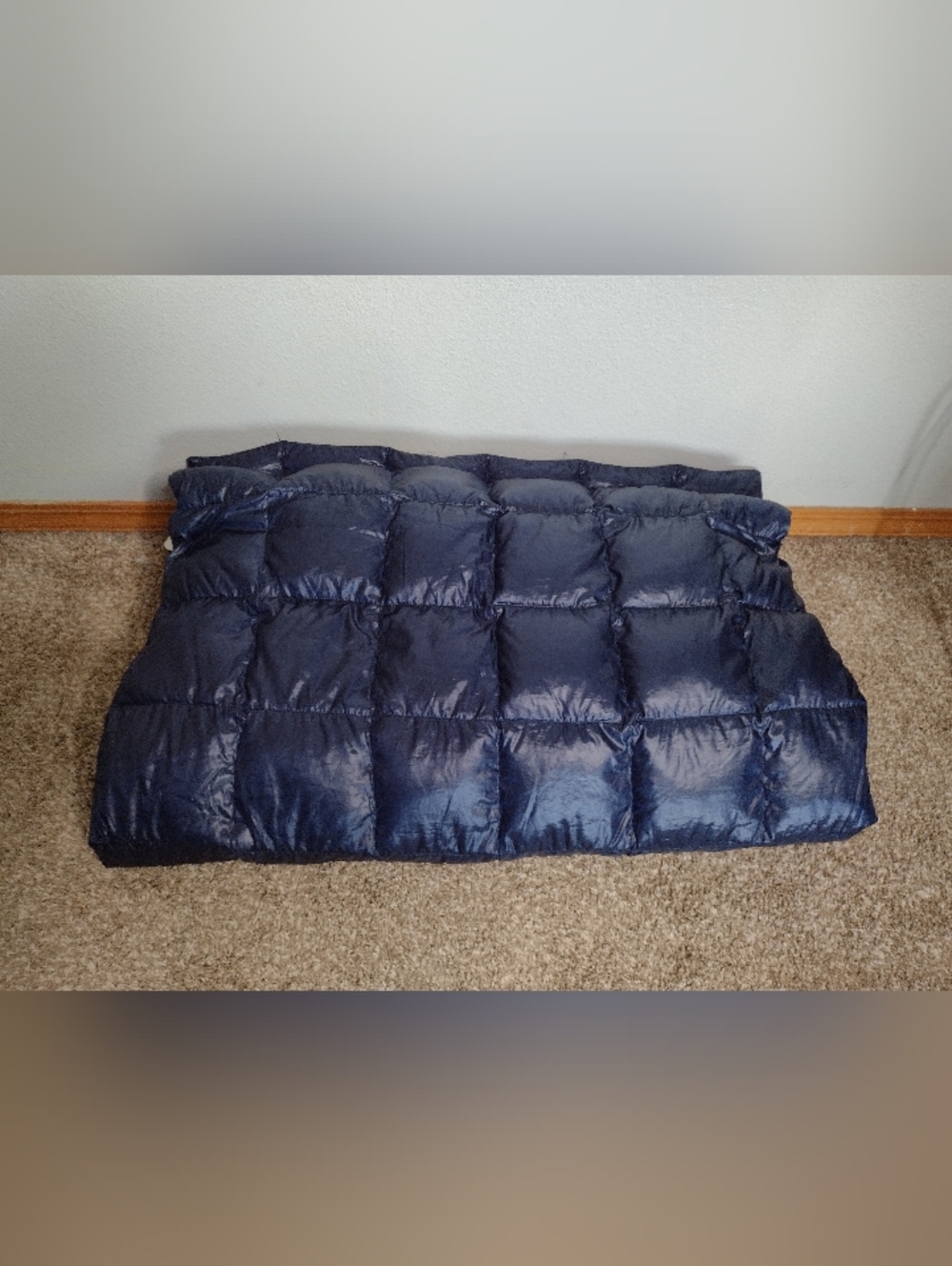 Blue Ridge Home Down Throw Camping Blanket 60x70 Packable Lightweight Travel C